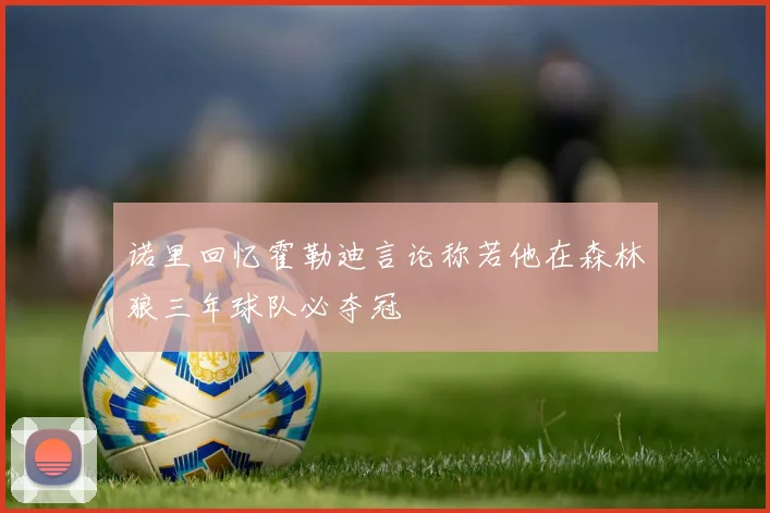 诺里回忆霍勒迪言论称若他在森林狼三年球队必夺冠